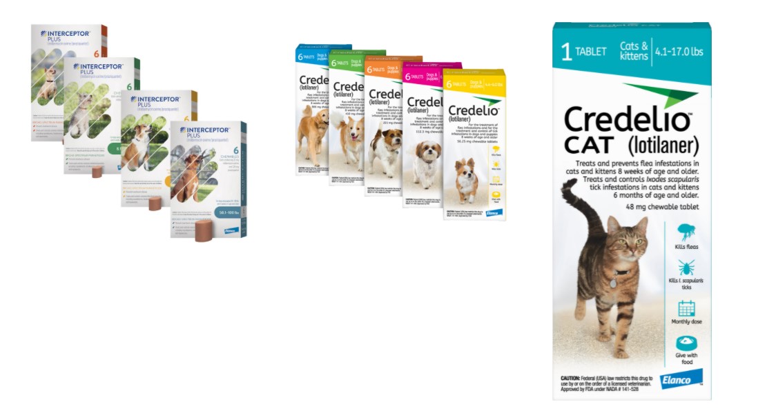 Promotions in Flourtown, PA | Montgomery Animal Hospital